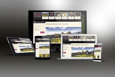 WEINBAU IN DER PFALZ - WEINGUT HITZIGERv WEINBAU IN DER PFALZ - WEINGUT HITZIGER