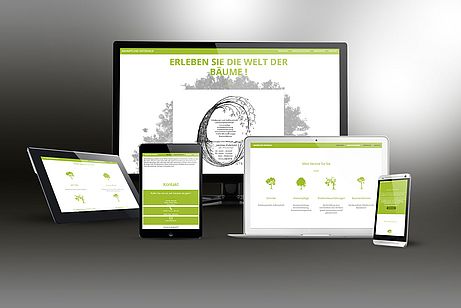 Baumpflege Osterheld Baumpflege Osterheld