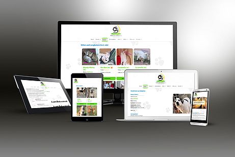 Alba for Animals bietet eine Plattform für die Vermittlung von Tieren aus dem Ausland. Alba for Animals bietet eine Plattform für die Vermittlung von Tieren aus dem Ausland.